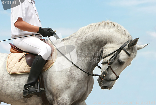 Image of jokey on dressage horse