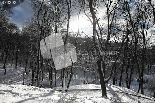 Image of Winter snow park