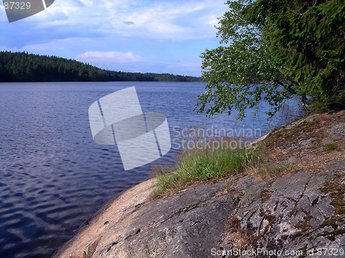 Image of Wood lake