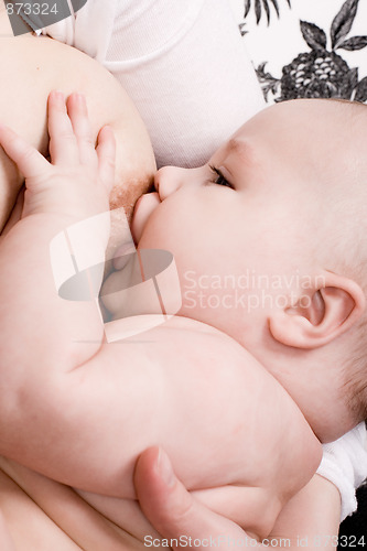 Image of newborn baby