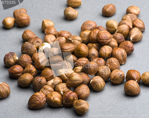 Image of Hazelnuts