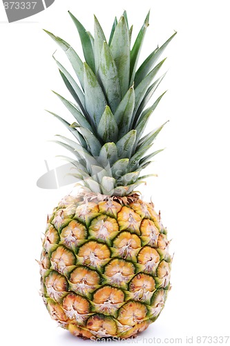 Image of pineapple