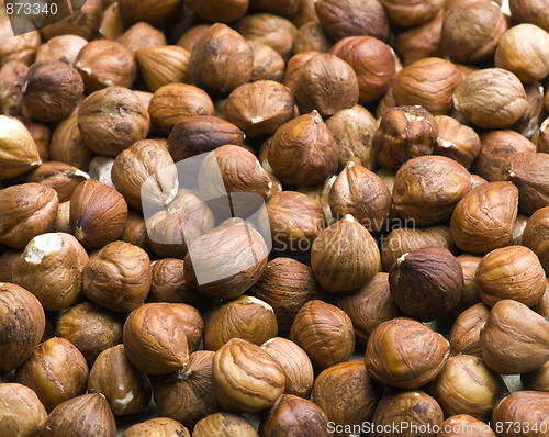 Image of Hazelnuts