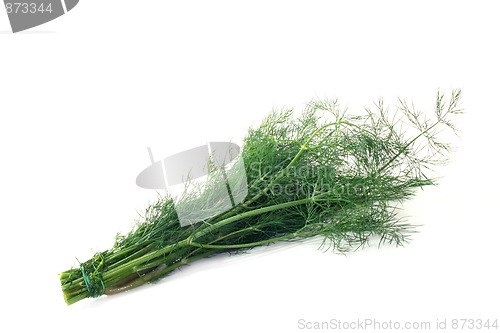 Image of Dill