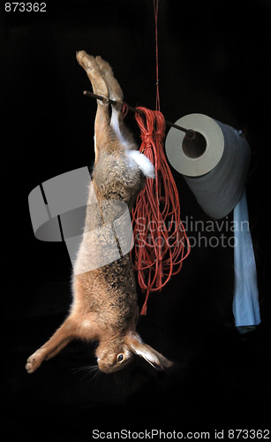 Image of Hung Hare