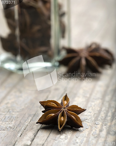 Image of Star Anise
