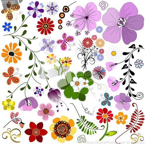 Image of Big collection flowers and  butterflies 