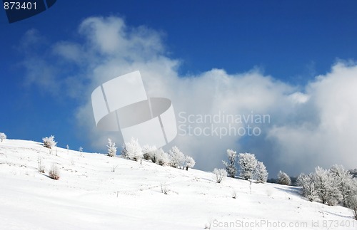 Image of Winter Scenics