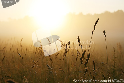Image of Misty sunrise 