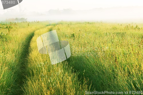 Image of road through the meadow