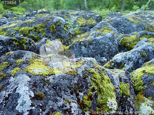 Image of boulders covered in moss