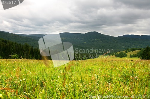 Image of  Altai