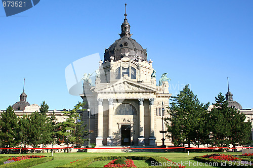 Image of The Szechenyi Bath 