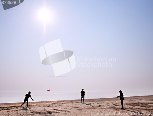 Image of frisbee