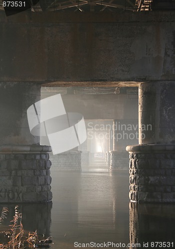 Image of tree under the bridge