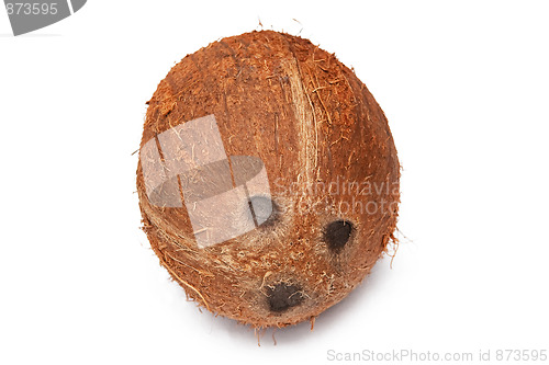 Image of Coconut