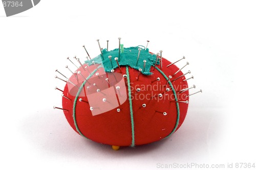 Image of The pincushion