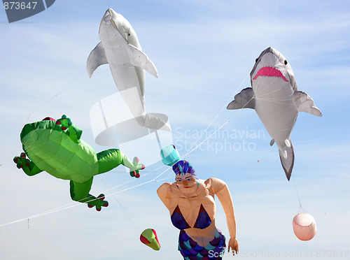 Image of Giant Kites