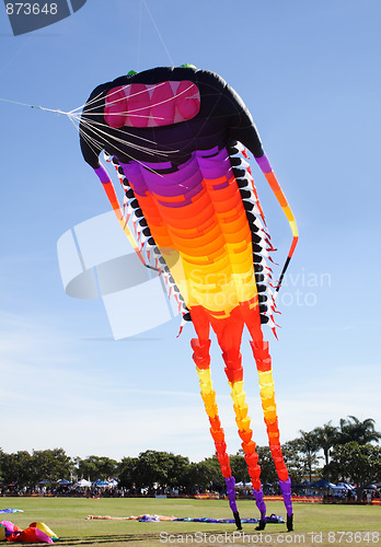 Image of Giant Kite