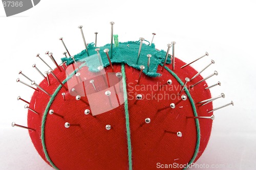 Image of The pincushion