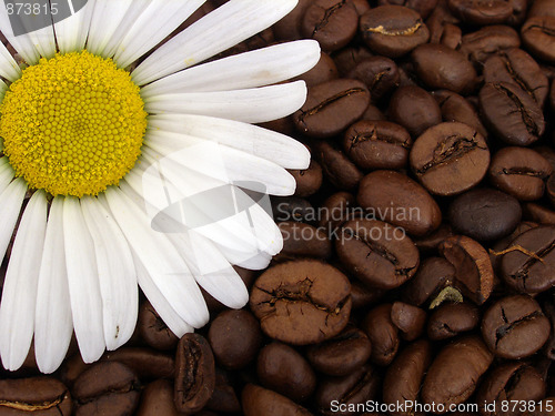 Image of coffee