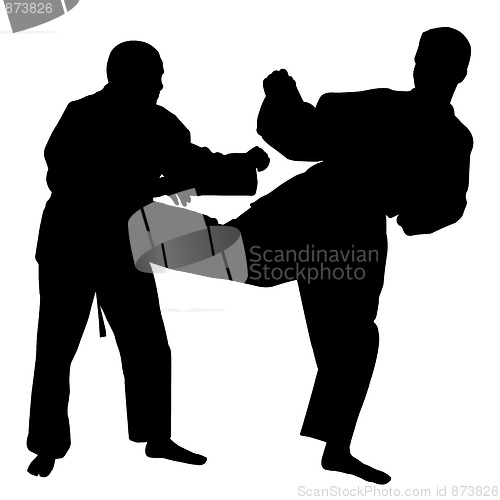 Image of Karate fight