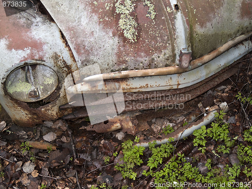 Image of Scrap car in the nature