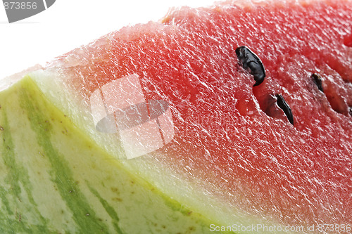 Image of Watermelon slice closeup