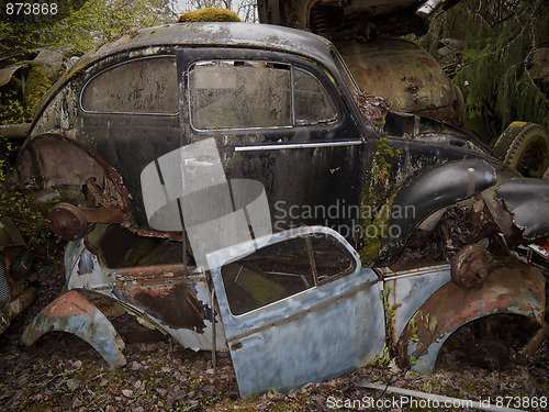 Image of Scrap heap in nature