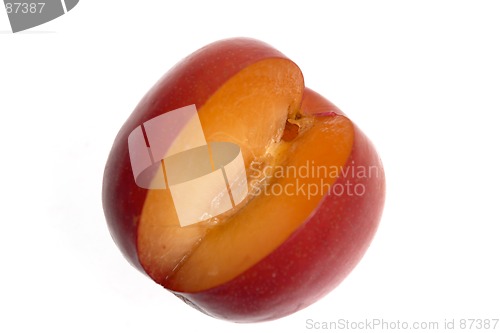 Image of Juicy Nectarine