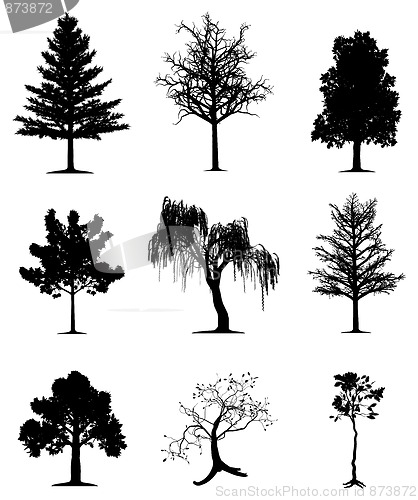 Image of Trees collection