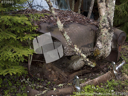 Image of Overgrown car in nature