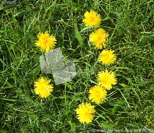 Image of floral smile