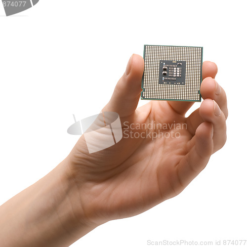 Image of Processor in hand