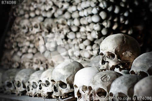 Image of Human skulls