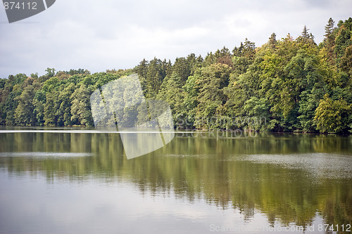 Image of Forest lake 