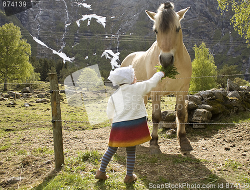 Image of Girl feeding horse