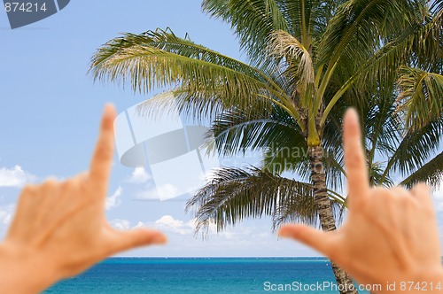 Image of Hands Framing Palm Trees and Tropical Waters