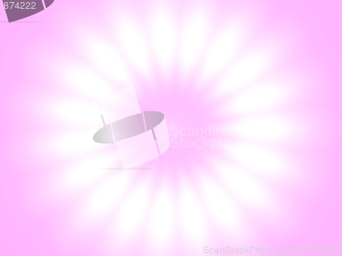 Image of Flower