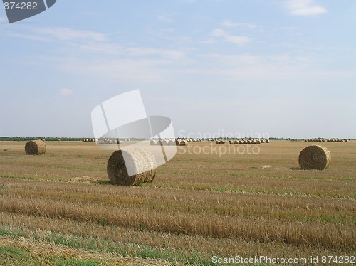 Image of Agricultural landscape