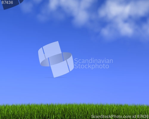 Image of blue sky on grass