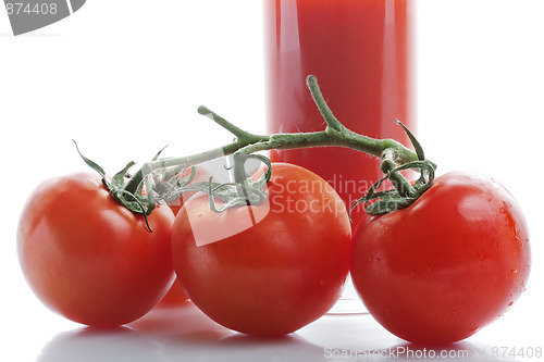 Image of Branch of tomatoes
