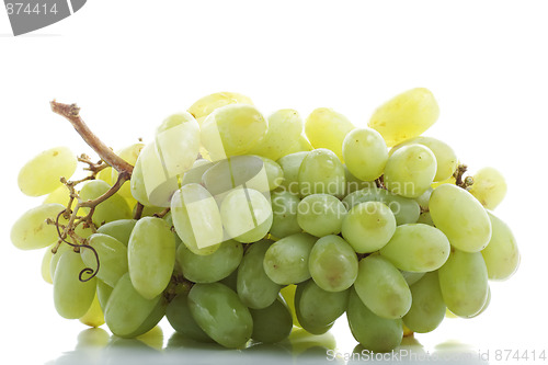 Image of Bunch of green grapes