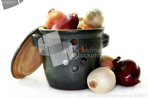 Image of Onion Pot