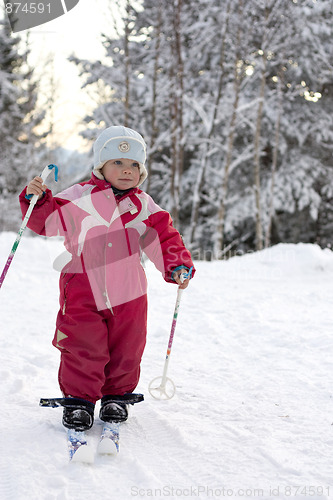 Image of Toddler skiing