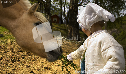 Image of Child feeding horse