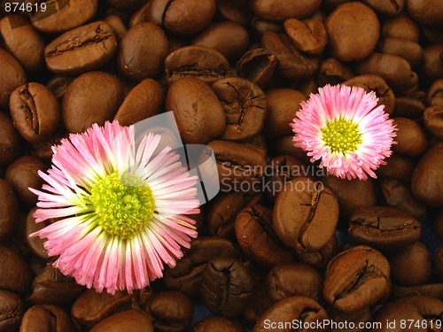 Image of coffee