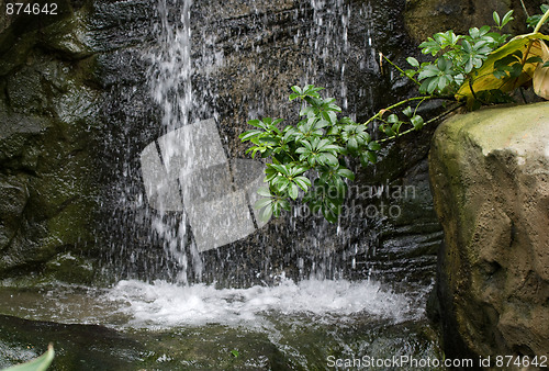 Image of beautiful waterfall in garden