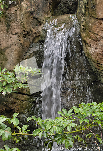 Image of beautiful waterfall in garden
