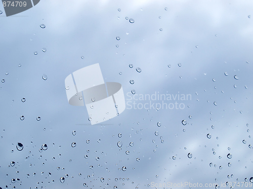 Image of Rain droplets
